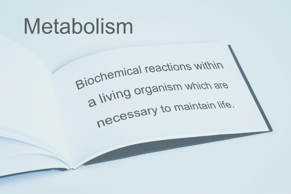 Open book displaying the definition of metabolism: "Biochemical reactions within a living organism which are necessary to maintain life."