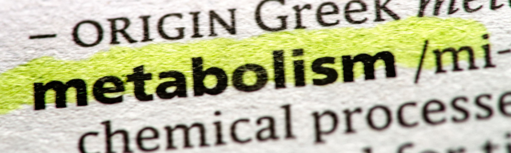 Metabolism highlighted in a dictionary